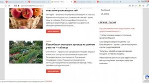 Урок 12. Садово-дачные хитрости