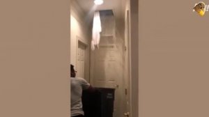 КОГДА ПЫТАЛСЯ ВЫГЛЯДЕТЬ СЕРЬЕЗНО, НО ВСЕ ПОШЛО НЕ ПО ПЛАНУ 😂🤡