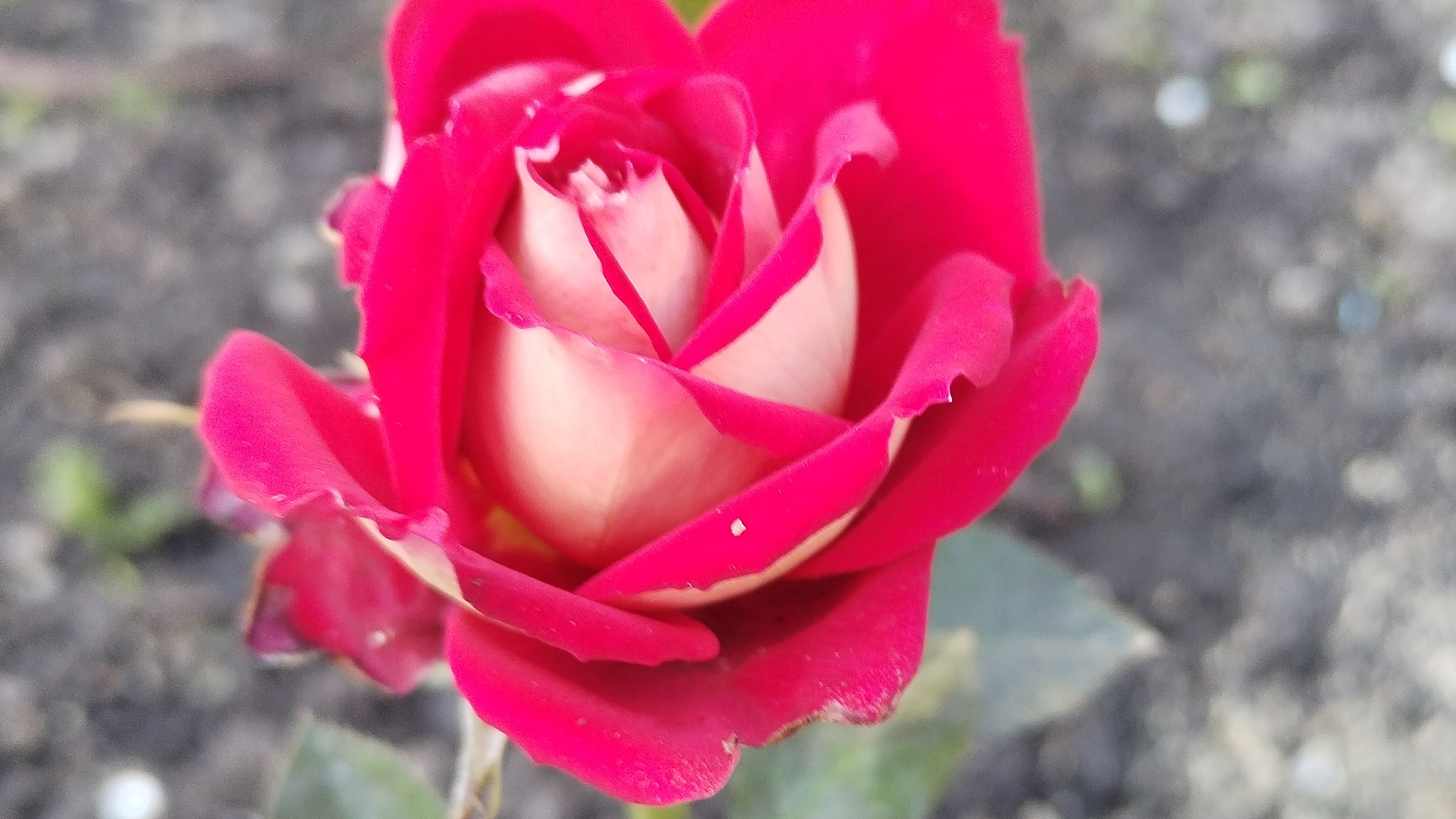 ДЕНЬ СТРАХА🙈 НЕ ЗАДАЛОСЬ УТРО😱 ВСЕ ЖИВЫ СЛАВА БОГУ