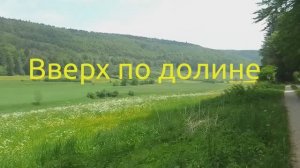 Вверх по долине