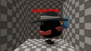 разоблачения на котика 5к