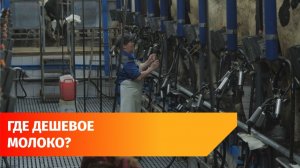 Стало известно, где в Башкирии самое дешёвое молоко