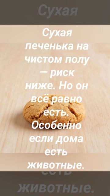 Миф о правиле 5 секунд