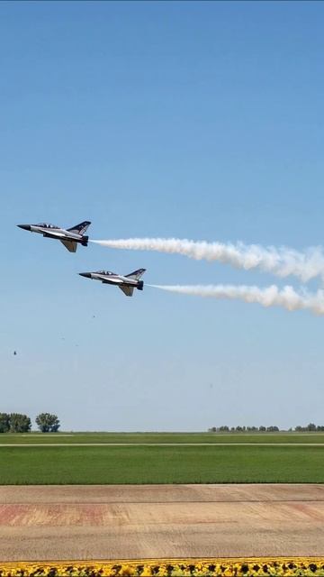 Фееричный авиашоу над подсолнухами #самолёты #авиашоу #природа