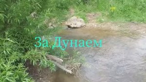 Шварцвальдскими тропами. Прогулка за Дунай