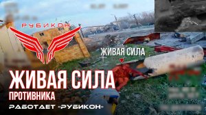 Живая сила противника. «Рубикон» продолжает раздавать порции пластида пехоте ВСУ в зоне СВО