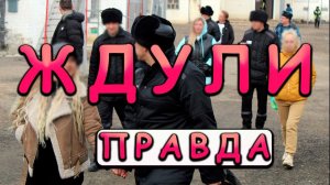 ЖДУЛИ | КАК ОНИ ЖИВУТ