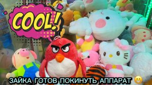 ПРИШЛА ЛОВИТЬ ЗАЙКУ НА 2-й ДЕНЬ😍ИГРАЮ В РАЗНЫХ АППАРАТАХ + ХВАТАЙКА ПО 10₽🥰🥰🥰