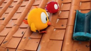 Птичка Тими