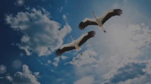 Не умирают воины!