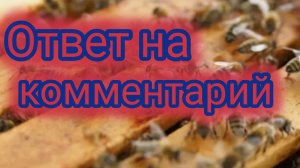 Ответ на комментарий 🐝