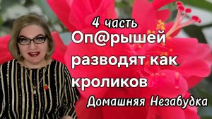 4 часть. Оп@рышей РАЗВОДЯТ как кроликов💯❗️