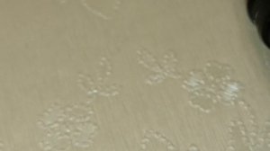 Eagle Pole 8008 удилище боковой кивок, маховое от fish crystal