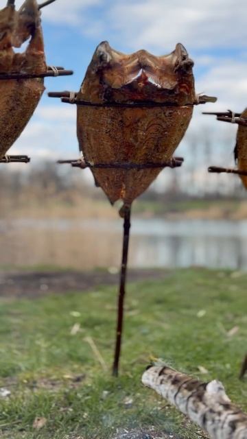 Коптим форель