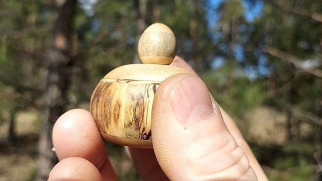 Шкатулка в апрельском лесу на березке