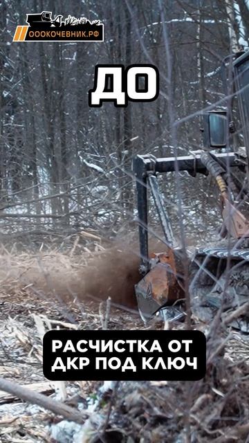 Расчистка от ДКР под ключ