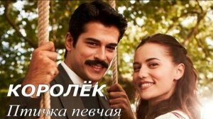Королёк птичка пя трейлер