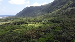 Развод, увольнение или деньги_ Что ждёт три знака зодиака в конце апреля.