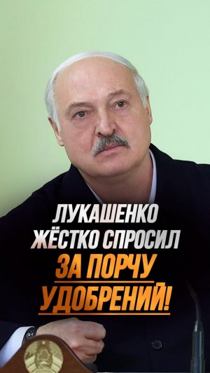 Лукашенко: Разберитесь и ПОСАДИТЕ! Будет больше 10 человек – и министра туда! #shorts