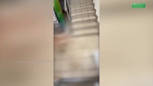 В Уфе опровергли слухи о поножовщине у банкомата в Зеленой Роще