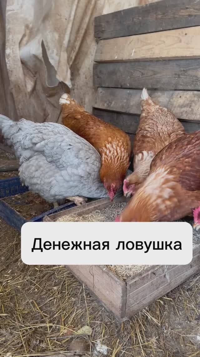 Деньги это ловушка?