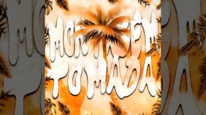 MONTAGEM TOMADA (Slowed)