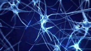 ТВОЕ ТЕЛО МОЖЕТ БОЛЬШЕ! ЭТО НУЖНО ЗНАТЬ КАЖДОМУ! Ольга Яковишина