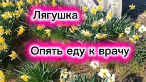 Опять еду к врачу. Лягушка..