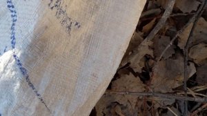 ЖЕСТЬ КАРАСИ БАТОНЫ. ЗАЧЕТ