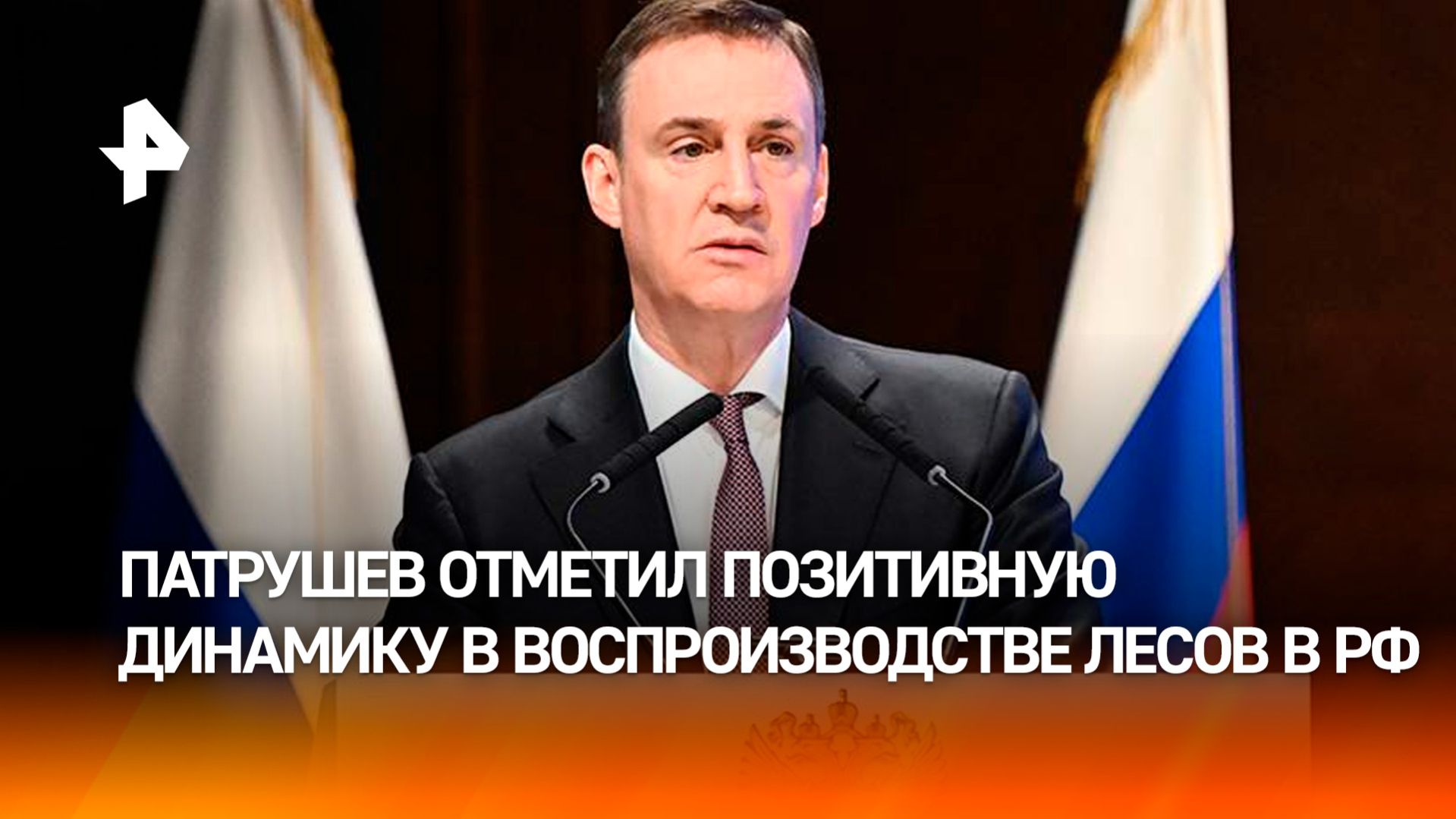 Патрушев: в 2025 году лесное хозяйство принесло в бюджет 90 млрд рублей