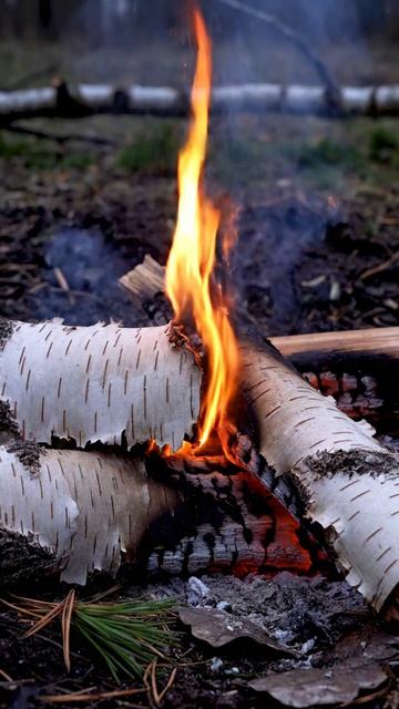Когда костёр говорит тише, а греет сильнее