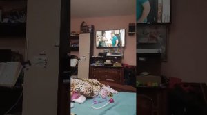 папины дочки