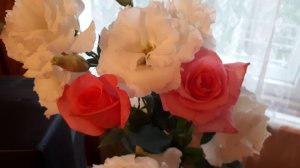 2347. Рассадный 2026 г. Высаживаю розы 9 апреля на ПМЖ.