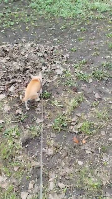 Сеня как всегда молодец))