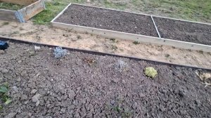 Наши 8,4 сотки🏡Обзор доделанной душевой и под кубиком для инвентаря.И конечноже первоцветы🌼