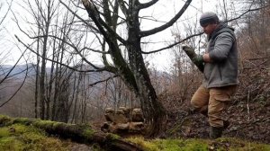 Дом из КАМНЯ и БРЁВЕН В ЛЕСУ ЗА 30 ДНЕЙ