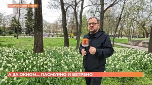 А за окном. 14 апреля 2026