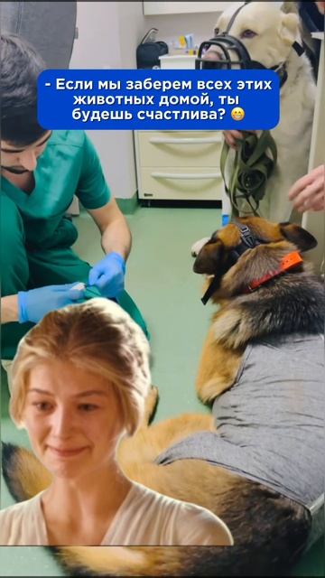 Когда дали положительный ответ