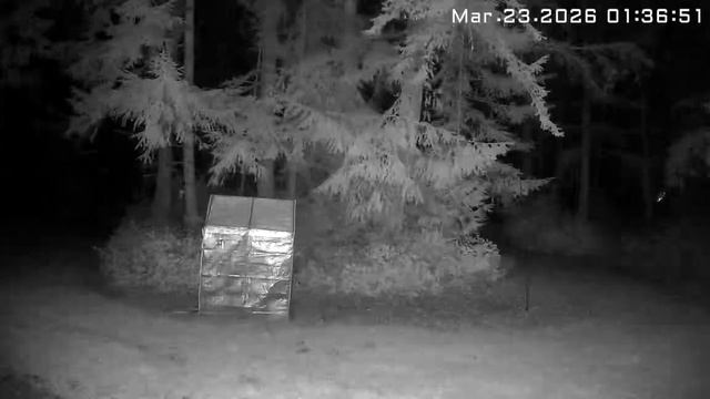 Маленькие Огоньки На Заднем Дворе