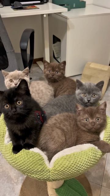 За твои глаза, я пью и не пьянею, за твои глазааа 😎🫶😼