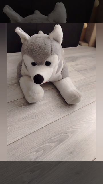 Возвращение человеков - видос от барбос-хаски Проглотик первый в России хаски видео блогер