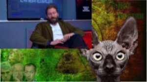 Эстонские анализы / Кот Костян