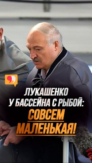 Лукашенко проверил, как растёт форель! // "Это как конвейер!" #shorts