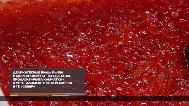 Деликатесные виды рыбы и морепродукты – на выставке-продаже «Рыба Камчатки» в Усть-Илимске 13-04-202
