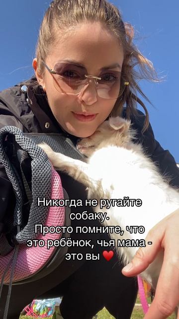 Никогда не ругайте собаку. Просто помните, что это ребёнок, чья мама — это вы ❤️