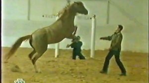 Анонсы и рекламные блоки (НТВ, 14.04.2007)