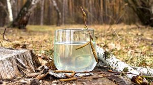 Валерий Чечет - "Я в весеннем лесу..."