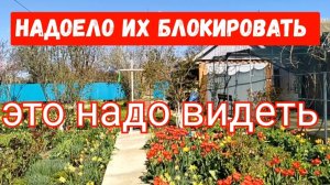 #229🏡Это надо видеть/Муж опять уезжает/Навожу чистоту на придомовой