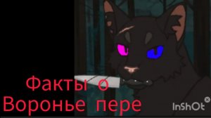 Факты о воронье пере!(перс из моей историй)