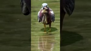 За природой очень интересно наблюдать